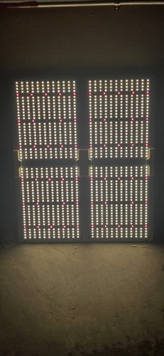 SF4000 Spider Farmer LED Leuchten 450 Watt - Bild 3 von 8