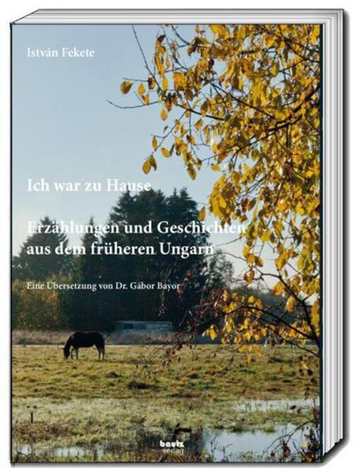 Thumbnail - Ich War Zu Hause | István Fekete | Taschenbuch | 245 S. | Deutsch |
