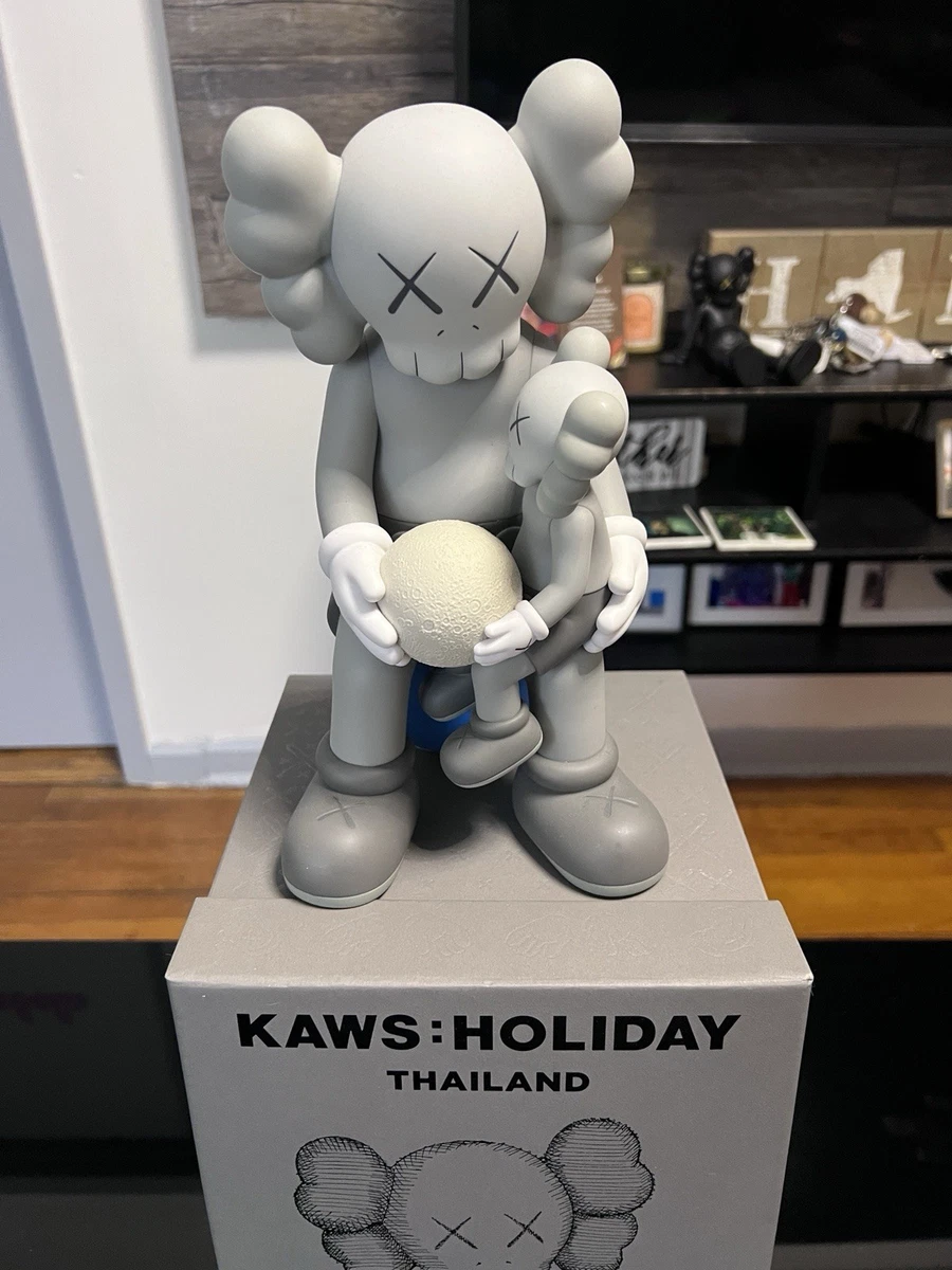 kaws KAWS Companion 1:6 Designer & Urban Vinyl Action Figures for