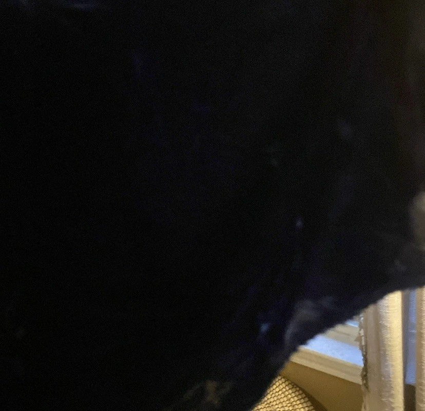 Vintage 1930s Blue Silk Velvet Gown Dress Flutter Sleeves Bias Cut Maxi Belt - Image 3 of 4