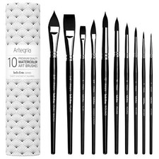 Watercolor Brush Set - 10 Professional Watercolor Paint Brushes for Artists; ...