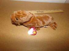 Ty Beanie Babies Paul The Walrus Brown 1999 Stuffed Animal Plush Toy New NWT