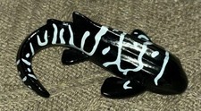 Yowie Leopard Shark from Series 5 Wild Water Series   Mini 2