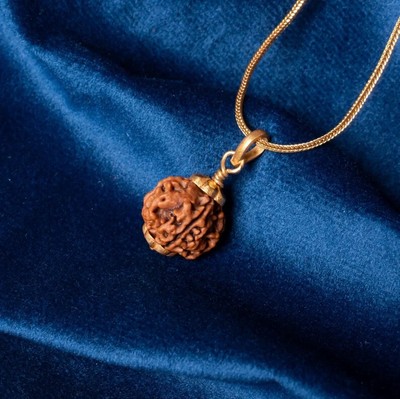 5 Mukhi (Face) Rudraksha Gold Pendant Certified 14K, 18K, 22K Gold Option
