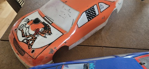 *TWO *Team Associated RC 10L Graphite pan cars & two Dale Earnhardt #3 bodies - Picture 15 of 16
