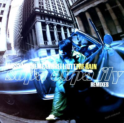 Missy Misdemeanor Elliott - The Rain Maxi (VG/VG) .