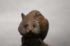 Tim Wolfe Chipmunk Sculpture Figurine Ginny 1991 — photo 4