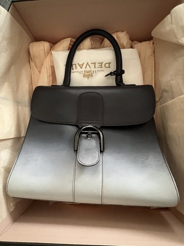 2017 DELVAUX BRILLANT MM OMbré NUANCE BOX CALF PROFESSIONALLY RESTORED FULL SET