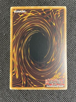 YU-GI-OH! – Magicat (ANPR-EN031) – Ancient Prophecy – Unlimited Edition – Rare – Effektmonster, Licht, Stufe 2
