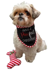 Have Pawfect Christmas Bandana Dog Gift Set