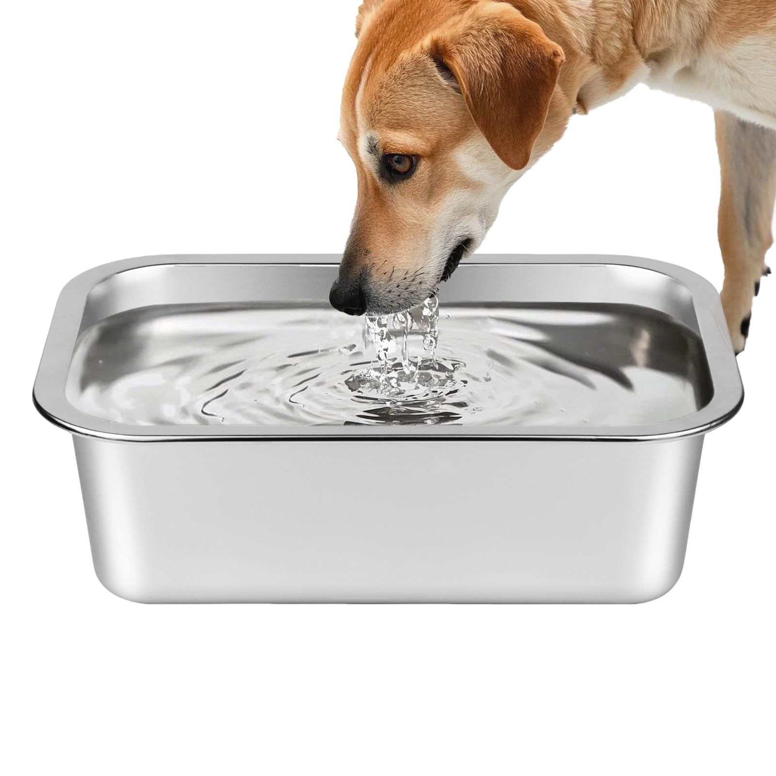 Feeder Dish Outdoor