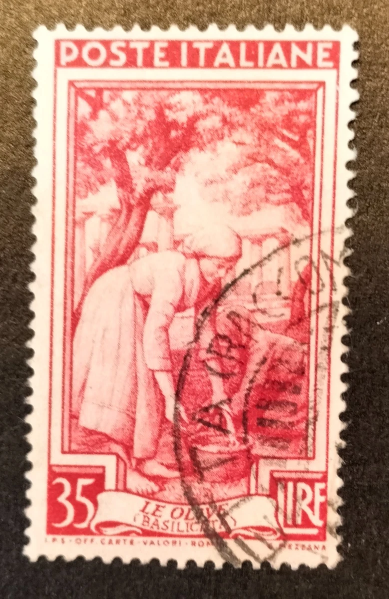 Briefmarke POSTE ITALIA 35 LIRE LE OLIVE AÑO 1950.gestempelt