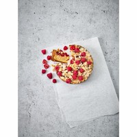 Birkmann Bakers Best Springform Kuchenform Backform Kuchbackform Ø 18 Cm