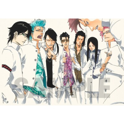 BLEACH EX.03 Official Limited Art Framed Paintings Reproduction