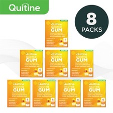 Quitine Nicotine Gum 4mg Traditional Fruit 1920 Pieces 8 bulk boxes
