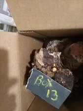 Box 13 Manzanita Burls Wood Projects