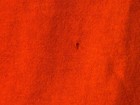 Bild 4 von 6