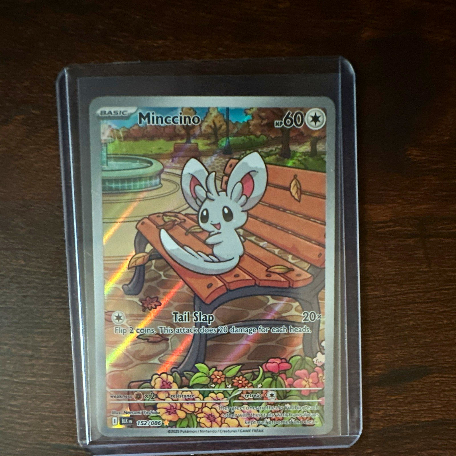 Pokemon TCG Minccino 152/086 Sv: Black Bolt Illustration Rare Full Art Holo