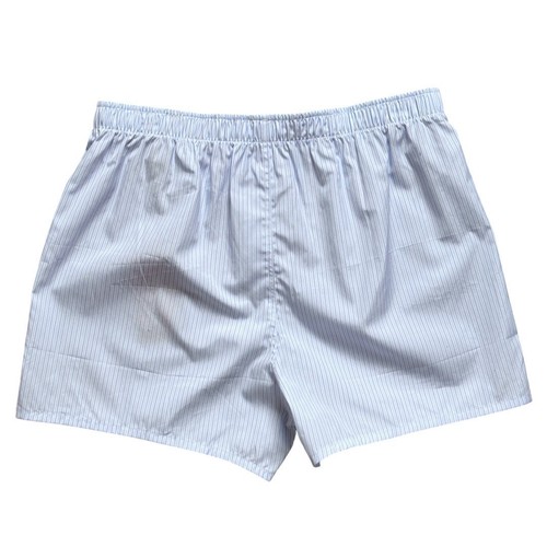 NWT Dior COUTURE Blue Striped Cotton Boxer - Picture 2 of 8