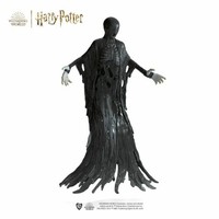 Schleich Wizarding World Dementor 13992