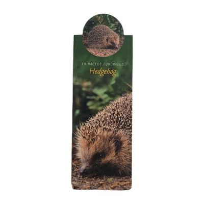 Cardmarks Hedgehog Wild Animals Info Magnetic Magnet UK Company If #2408 Y2k 00s