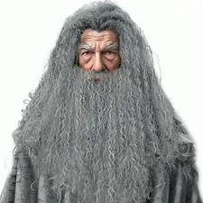 Grey Wizard Wig Beard Cosplay Old Man Wig Grey Curly Fluffy Long Wig Hallowee...