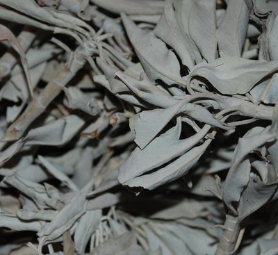 Weißer Salbei White Sage 10g 20g 50g 100g weiß Indianersalbei (13,10 -23 /100g)