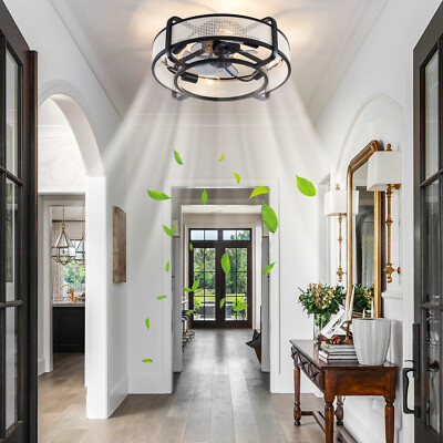 21 Inch Chandelier Ceiling Fan Light Living Room Pendant Lamp w/ Remote Control