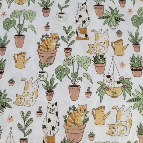 Katzen Pflanzen 4tlg Queen Blatt Set Calico Orange Tabby Farn Aloe Monstera Sukkulente