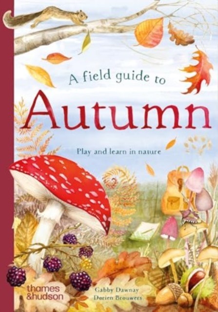 A Field Guide to Autumn Play and learn in nature by Gabby Dawnay (Hardback Book) - Image 2