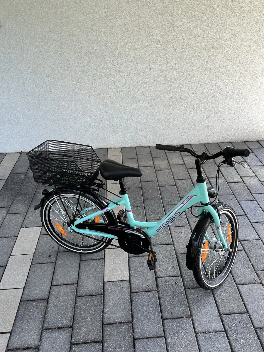 Pegasus Fahrrder Pegasus Avanti Fahrradstnder online kaufen | eBay.de
