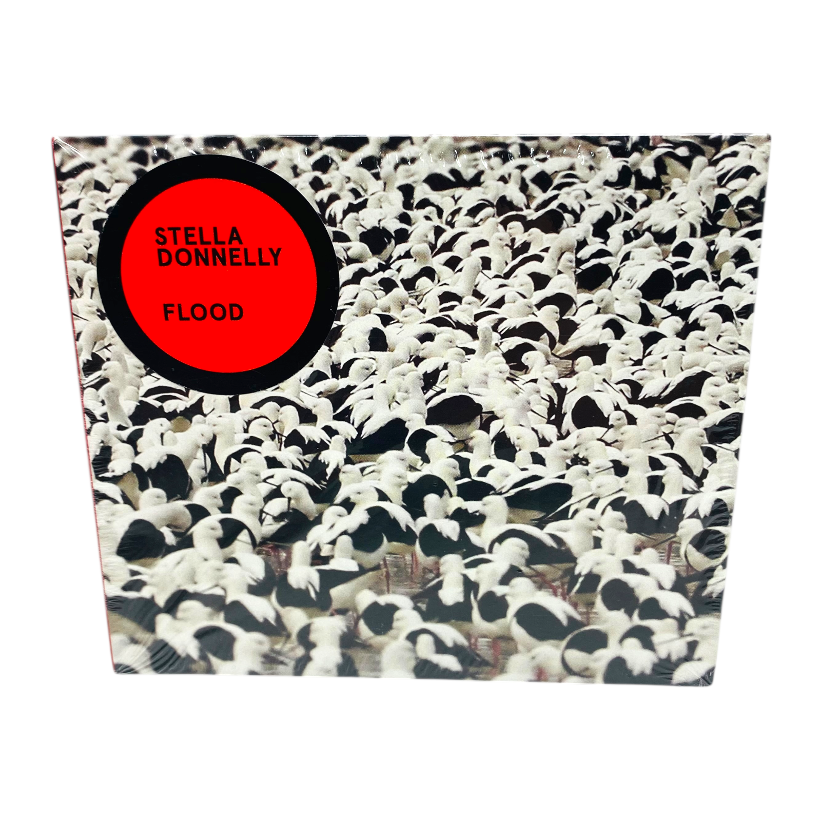 Flood by Stella Donnelly (CD, 2022)