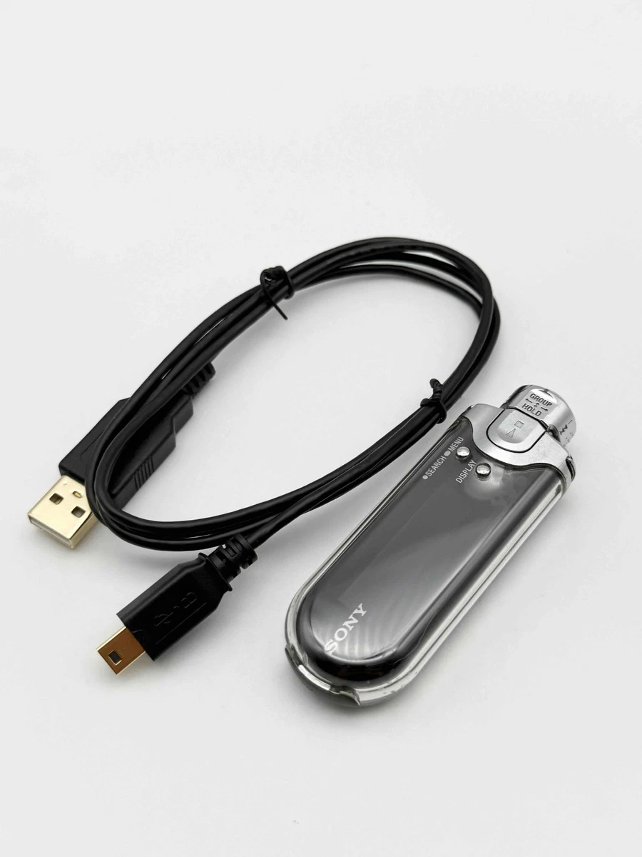 Sony Walkman E Series MP3 MP3 Playable Media Format Players for