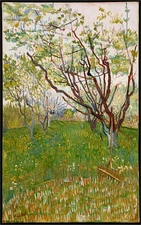 Hand-painted Oil Painting Vincent van Gogh The Flowering Orchard1888 