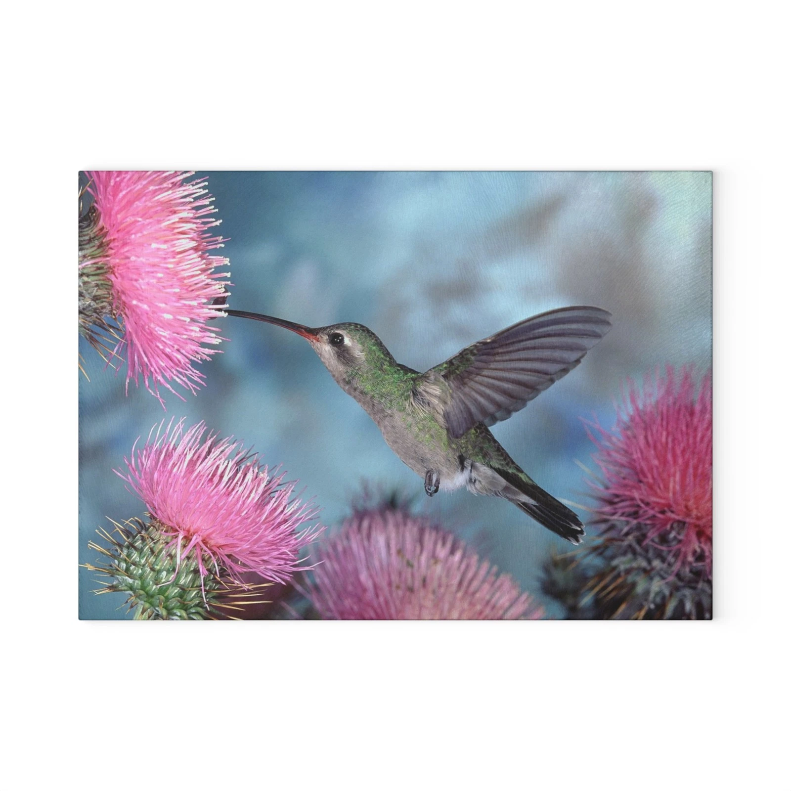 Hummingbird Art Glass Cutting Board, Kitchen Decor Cooking Art Background