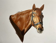 COA Original Art Chestnut Horse Portrait  8”x10
