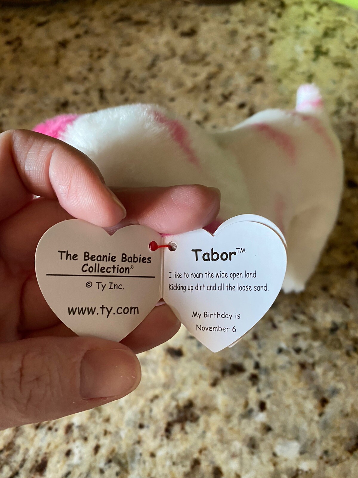tabor beanie boo birthday