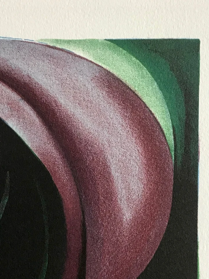 Georgia O'Keeffe JACK IN THE PULPIT V 1930,拱门平版画,摘要 — 第 3/4 张图片