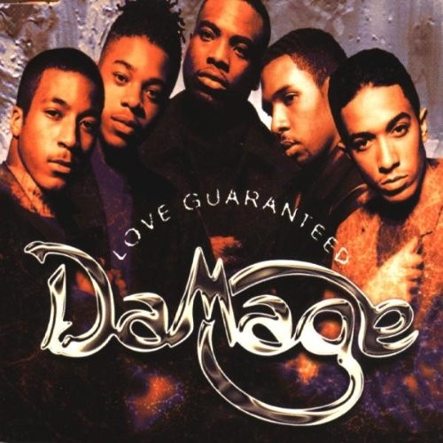 Гарантия на нанесение ущерба (4 версии, в том числе Silk House Garantee (CD) (ИМПОРТ из Великобритании)