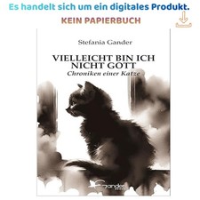 VIELLEICHT BIN ICH NICHT GOTT: Chroniken eine...