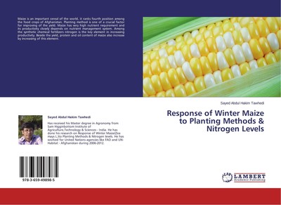 Response of Winter Maize to Planting Methods & Nitrogen Levels Sayed Abdul Hakim