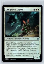 (2x) FOIL Driftgloom Coyote Bloomburrow Uncommon – MTG Magic the Gathering Card