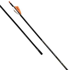 Victory Archery VAP SS Elite 250 Spine Fletched Arrow 6 Pack 04389