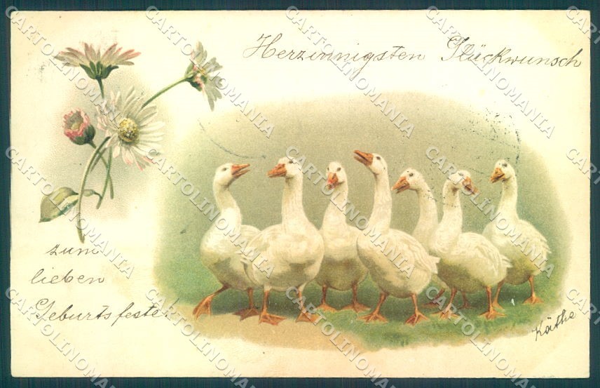 Cartolina cartonelina fiori d'oca animali TW1948