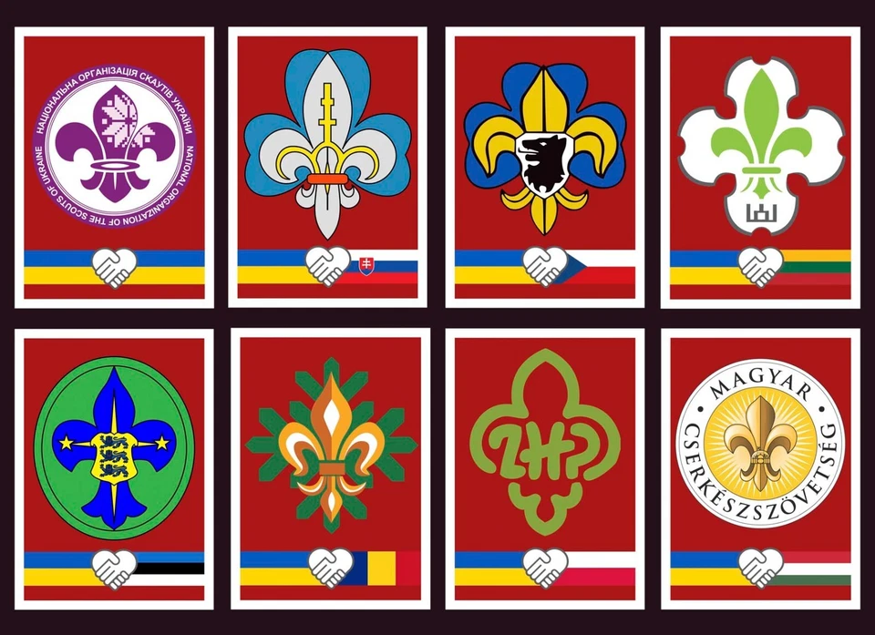 Набор из 8 карточек скаутов канцелярские товары 2022 Liberia как новые без наклеек и следов 100% переработанная бумага - Изображение 2 из 4