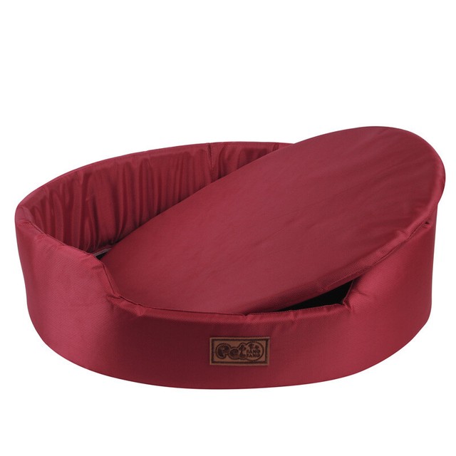 coleman comfort bed compact single