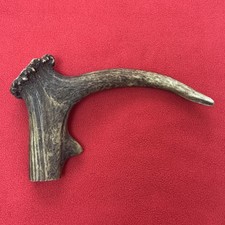 ONE PIECE OF DEER ANTLER, L SHAPED FOR SLINGSHOTS, WALKING STICKS, ARTS (6)