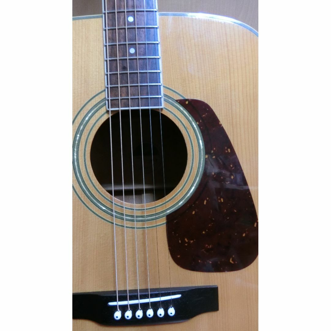 Electric Acoustic Guitar Morris MD-301N Natural Made in
