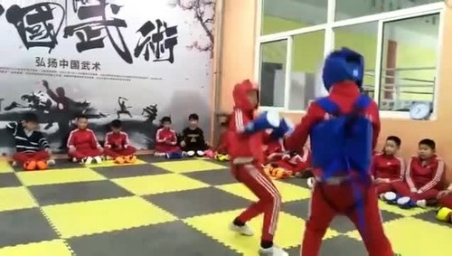 Thickened Chest Guard Boxing MMA Kickboxing Body Vest Protector Martial Arts WTF - Video 1 of 1