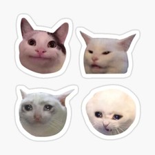 4 Cat Kitty Meme Stickers Pack for Wall Decal Laptop Vinyl Sticker